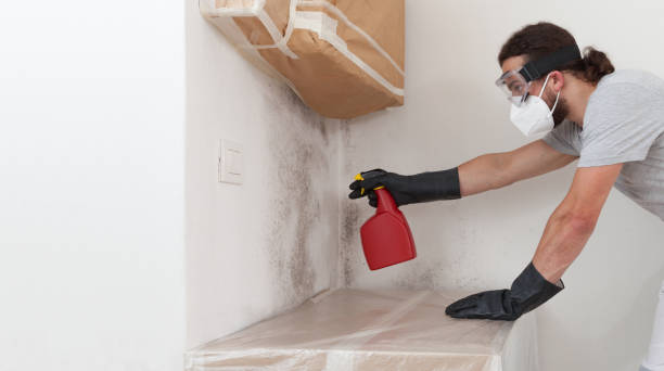 Professional Attic Mold Removal technician working in Beaverton, MI